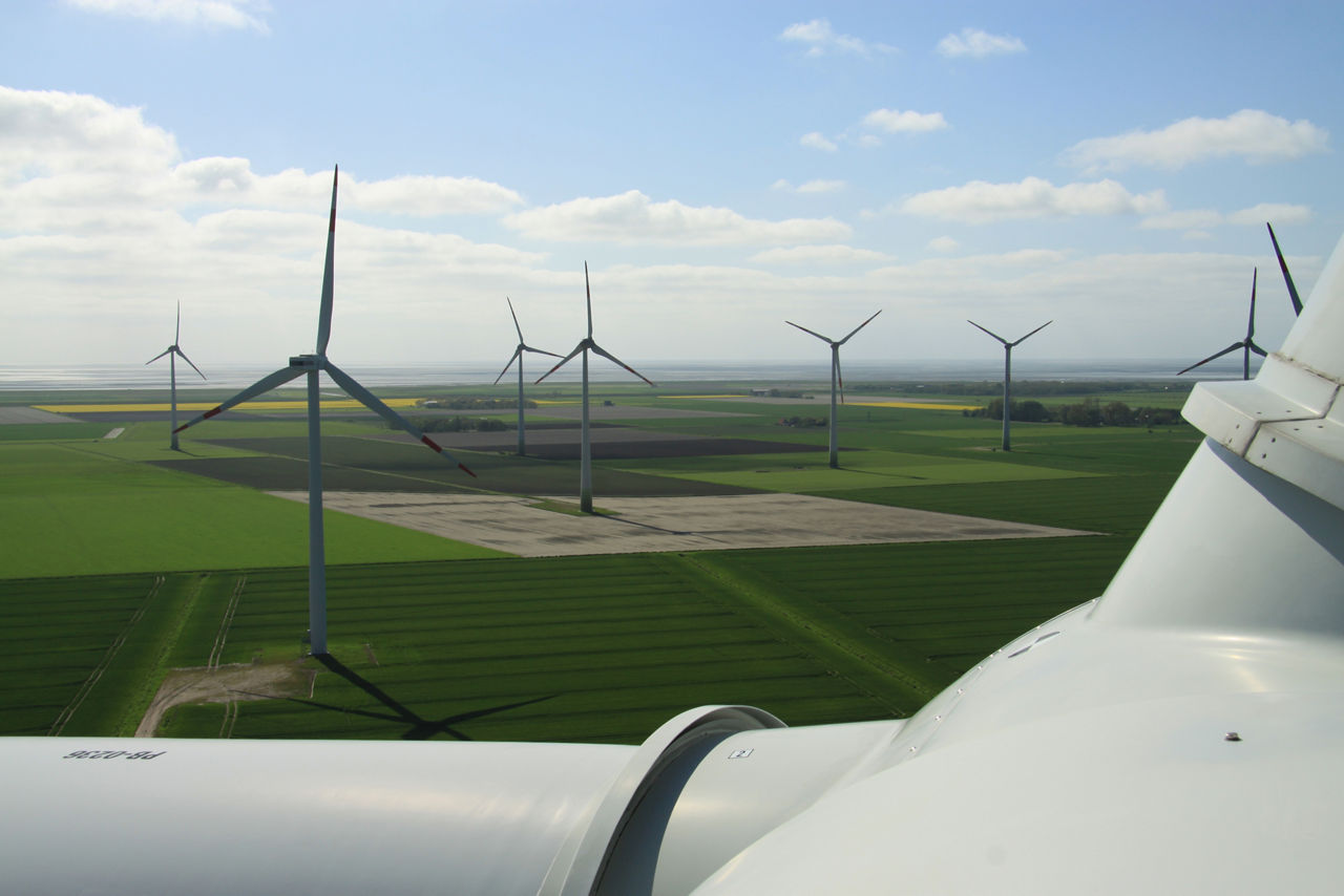 Blick auf den Windpark Hedwigenkoog