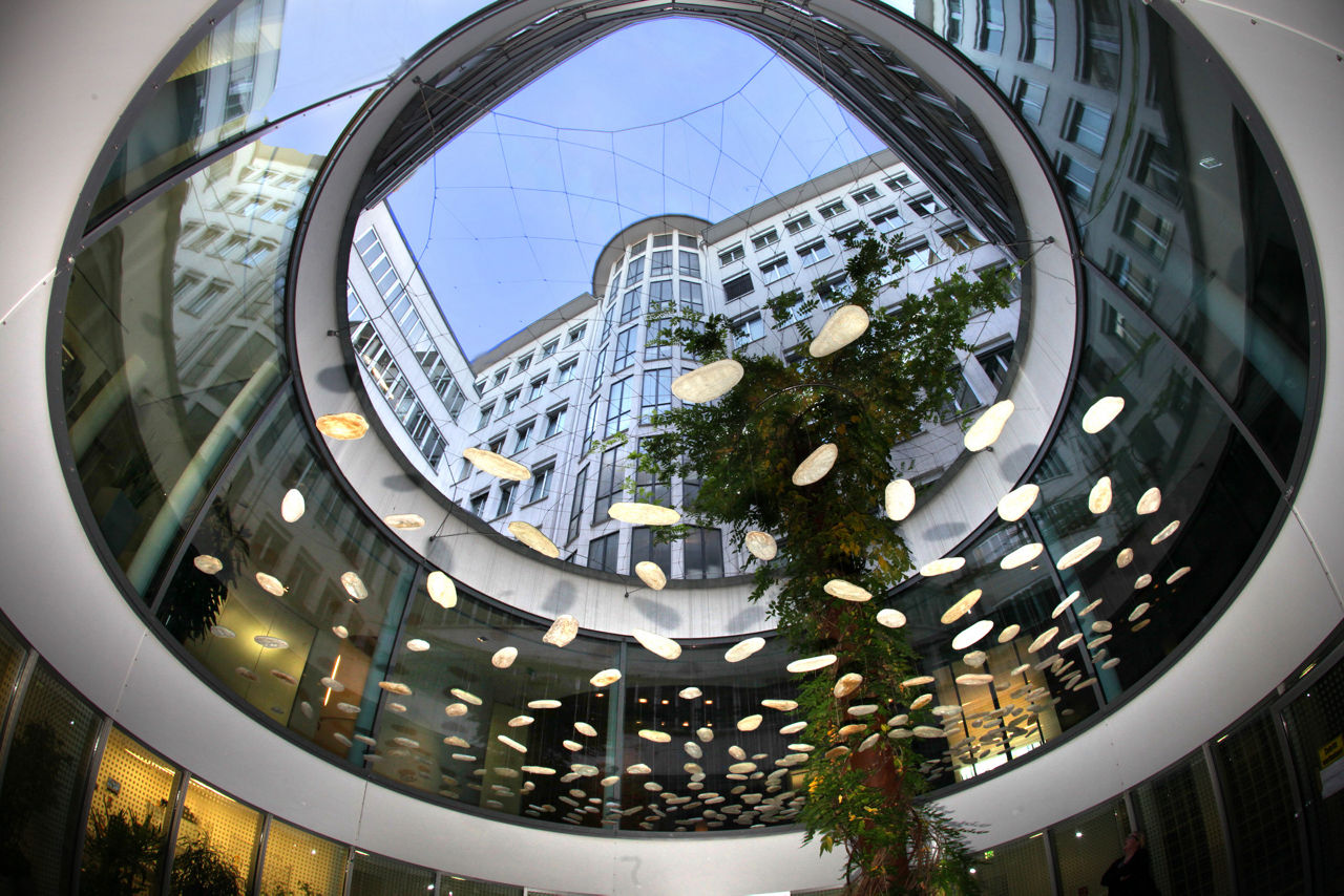 Blick durch unseren Innenhof auf unseren Weltenbaum