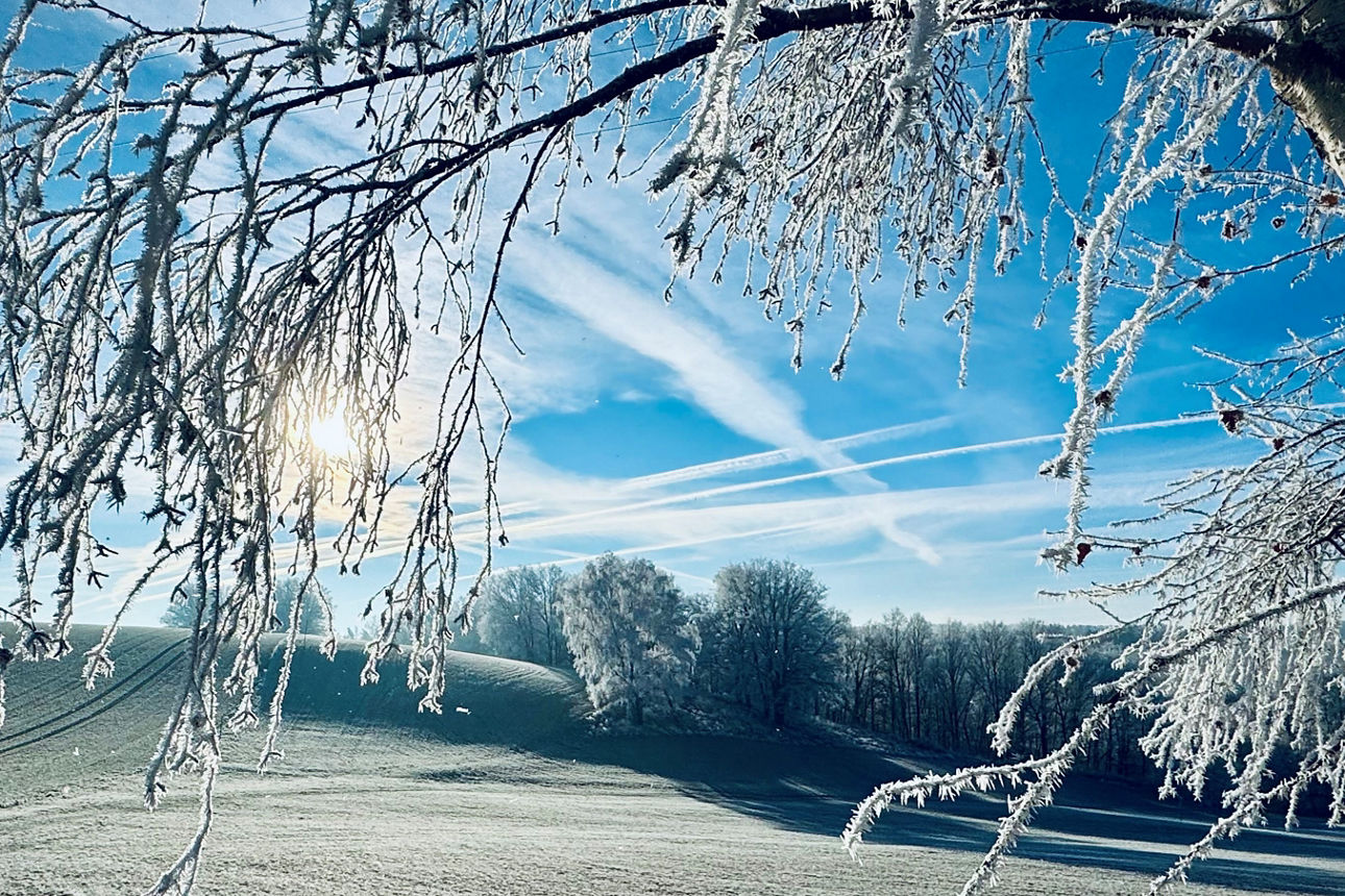 Winterlandschaft mit Raureif mit Blick in den Plotzgrund