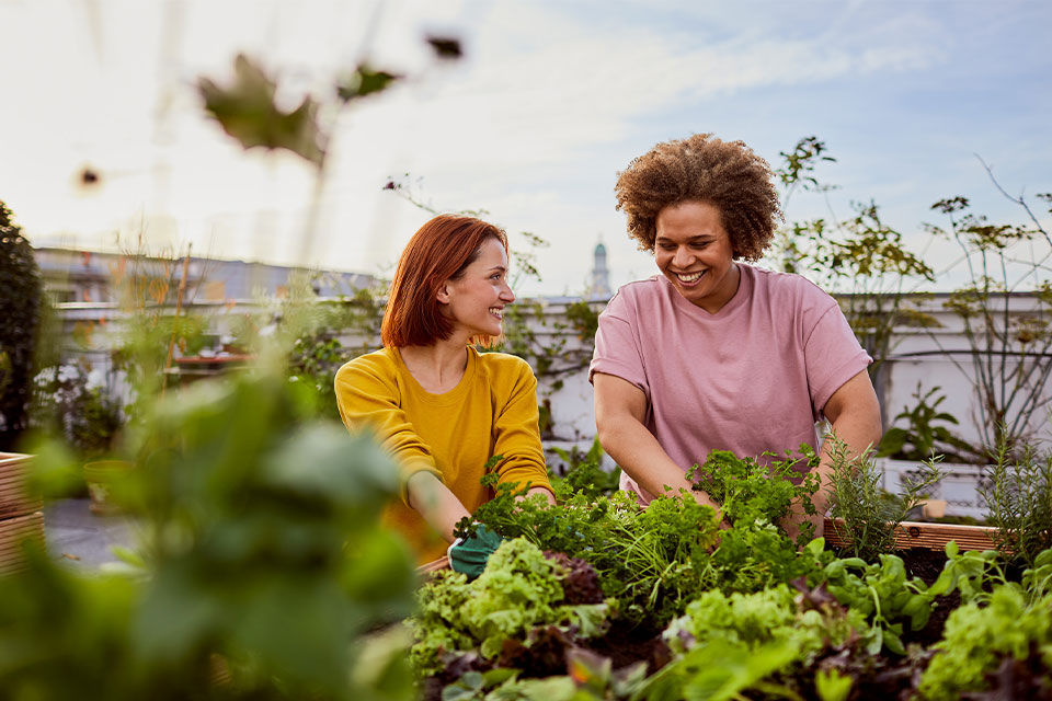 zwei junge Frauen beim Gardening auf einer Dachterasse