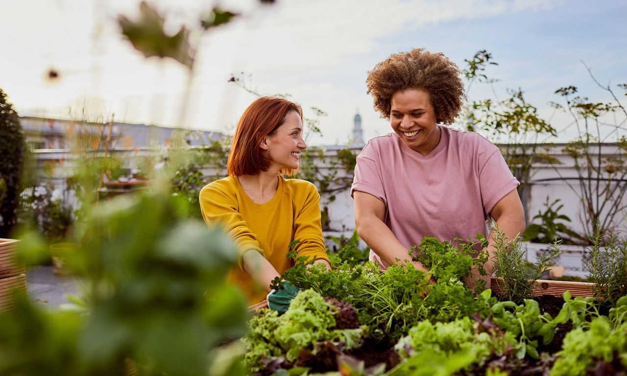 zwei junge Frauen beim Gardening auf einer Dachterasse
