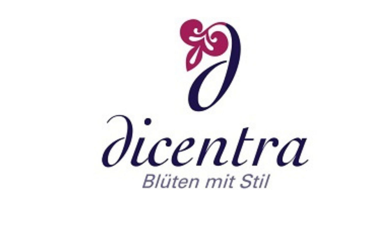 dicentra Blüten mit Stil