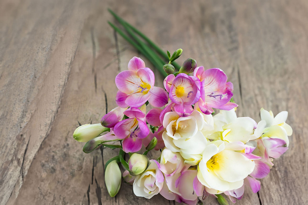 Bouquet aus rosa und weißen Blüten liegt auf einer rustikalen Holzoberfläche