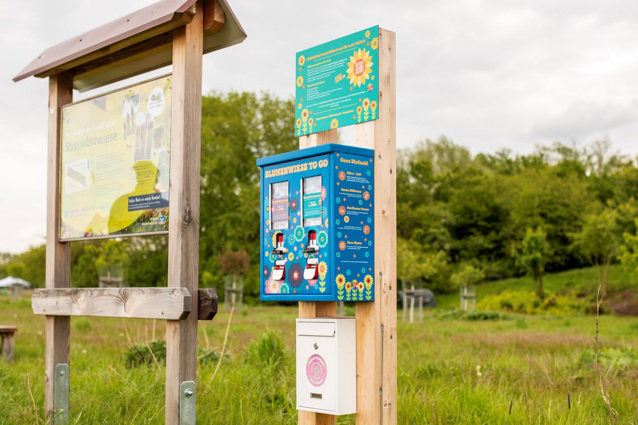 Blumenwiese-to-go-Automaten