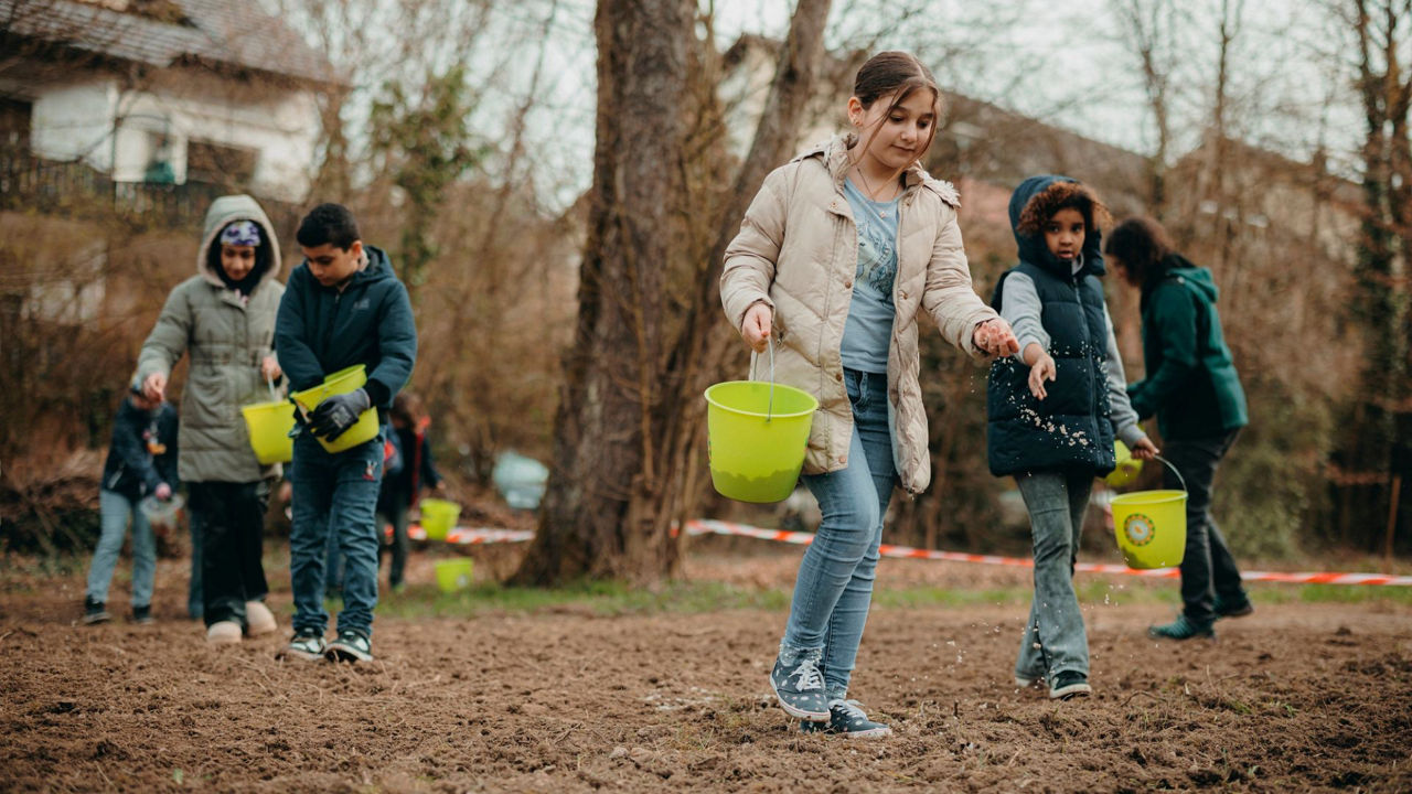 Schulkinder bringen die Natur zum Blühen – Blumenwiesen-Aktion am Hohbergsee