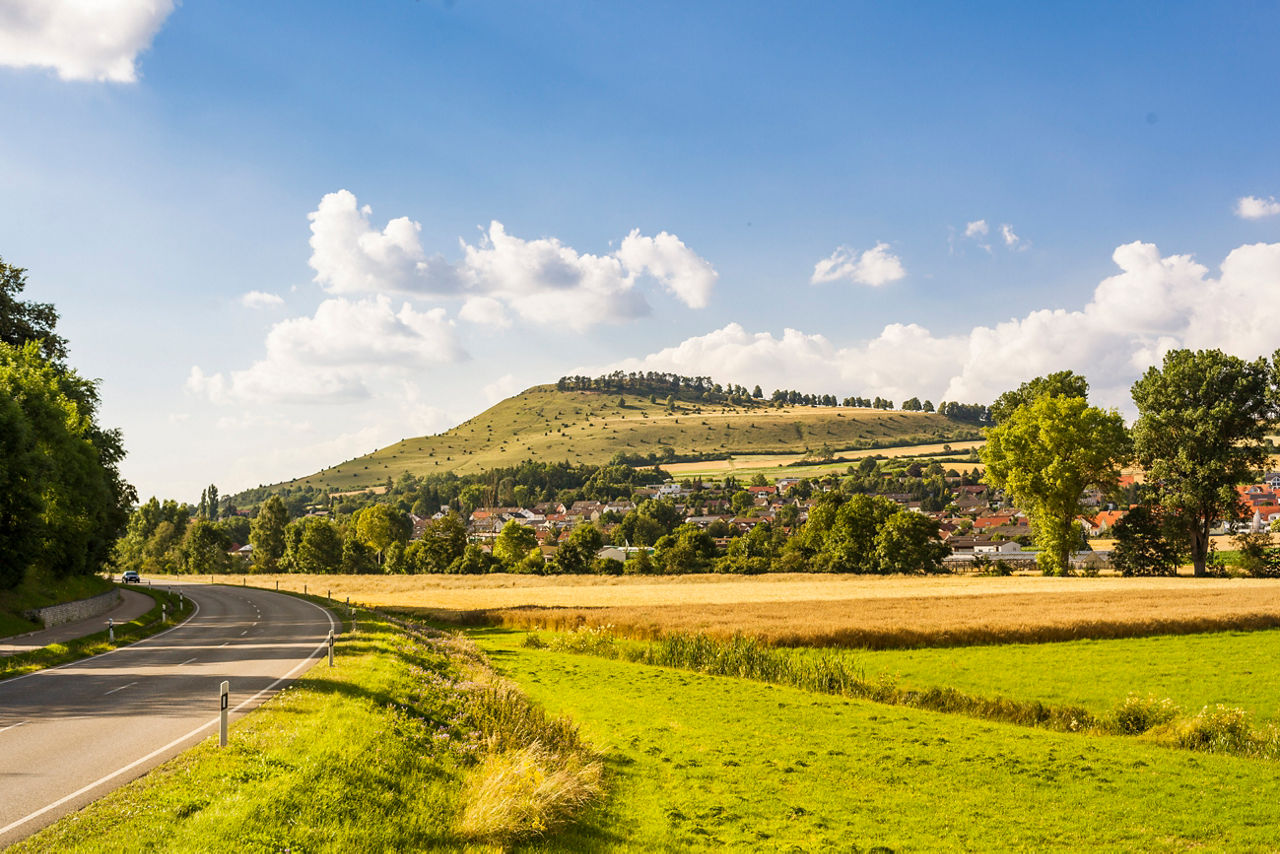 Blick auf einen Berg mit vielen Bäumen und Felder, im Vordergrud ist eine Straße zu sehen.