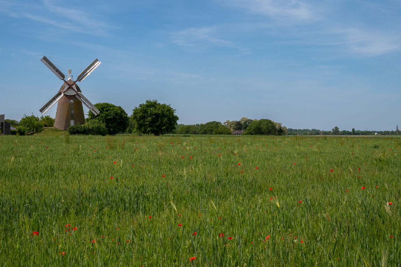 Grünes Feld mit einem Windrad im Hintergrund.