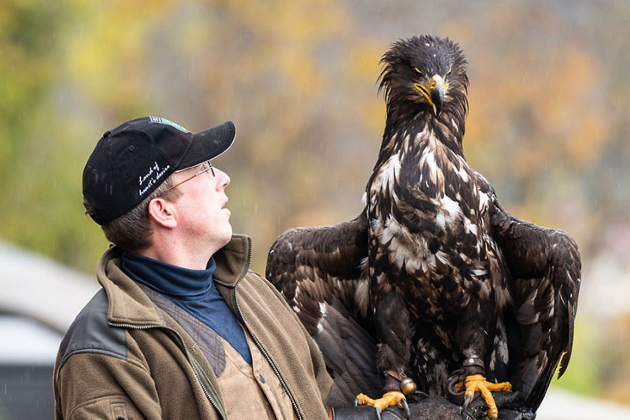 Ein Mann mit Kappe hat einen braunen Greifvogel auf dem Arm