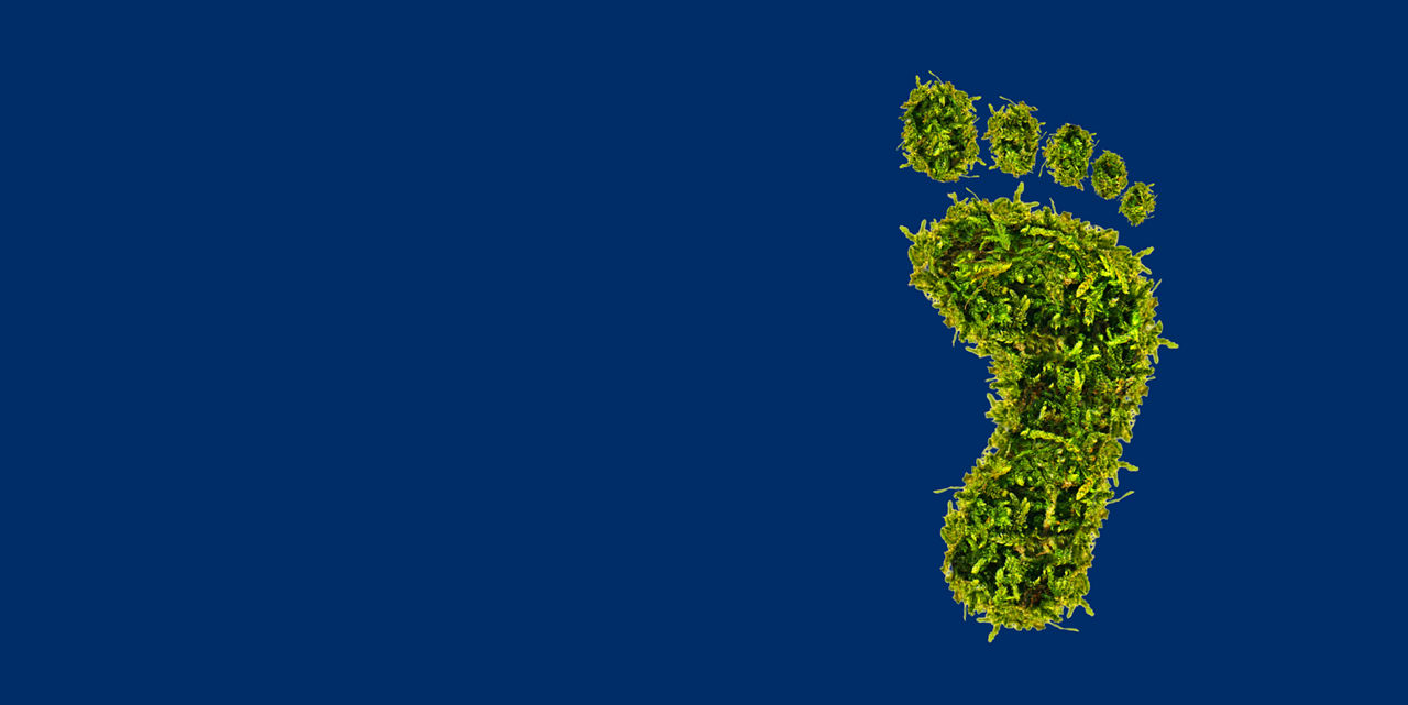 Fußabdruck aus Gras vor blauem Hintergrund