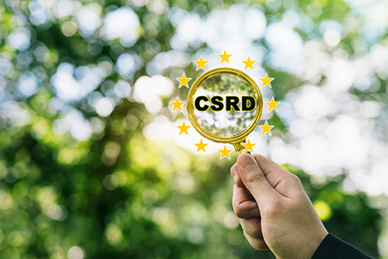 Eine Hand hält ein Vergrößerungsglas mit dem Wort „CSRD“ in der Mitte des Glases.