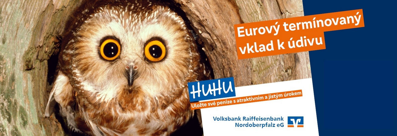 Nabídka eurového termínovaného vkladu, koukajíci sova