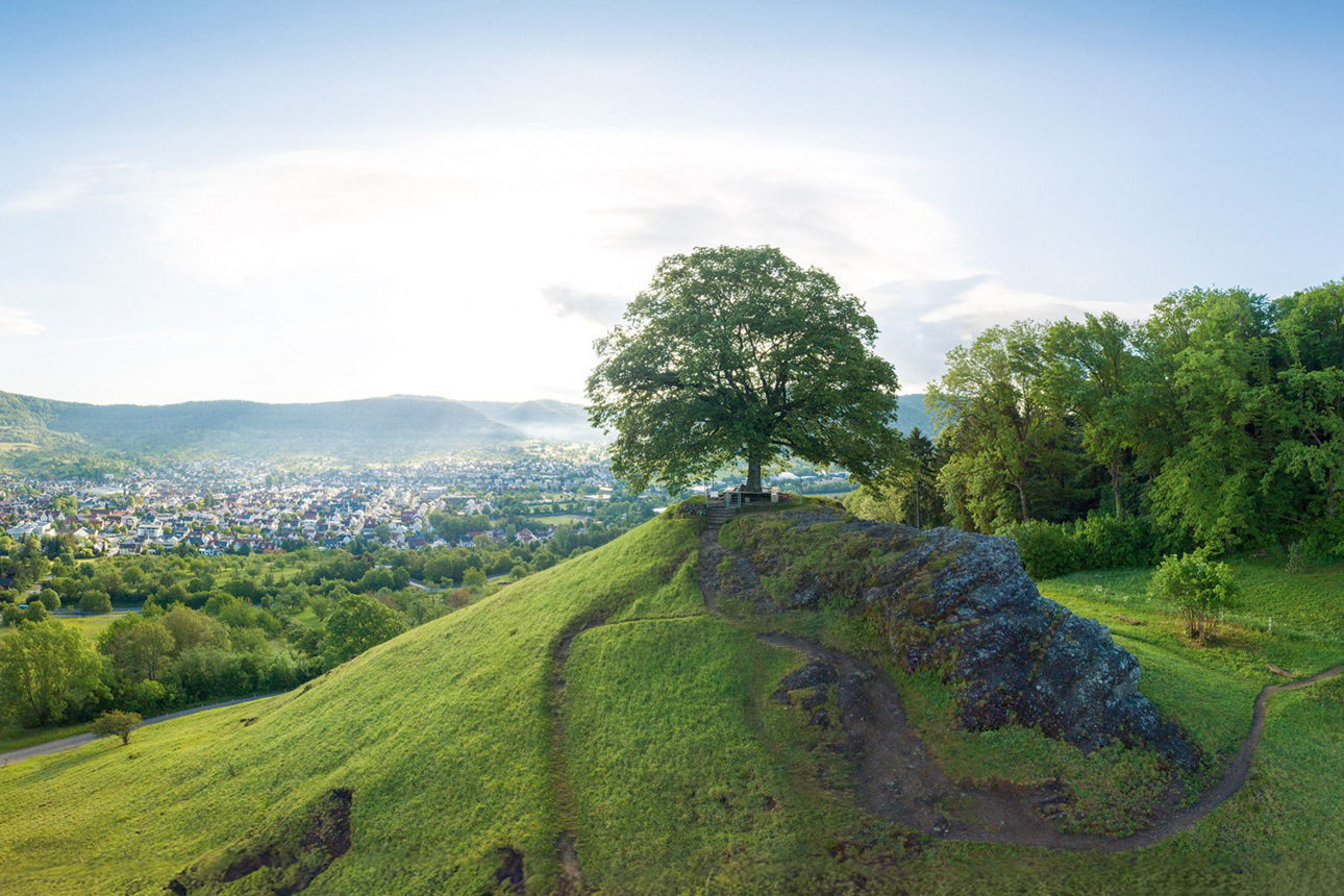Landschaftsbild: grüne Wiese mit Baum und Blick auf ein Dorf