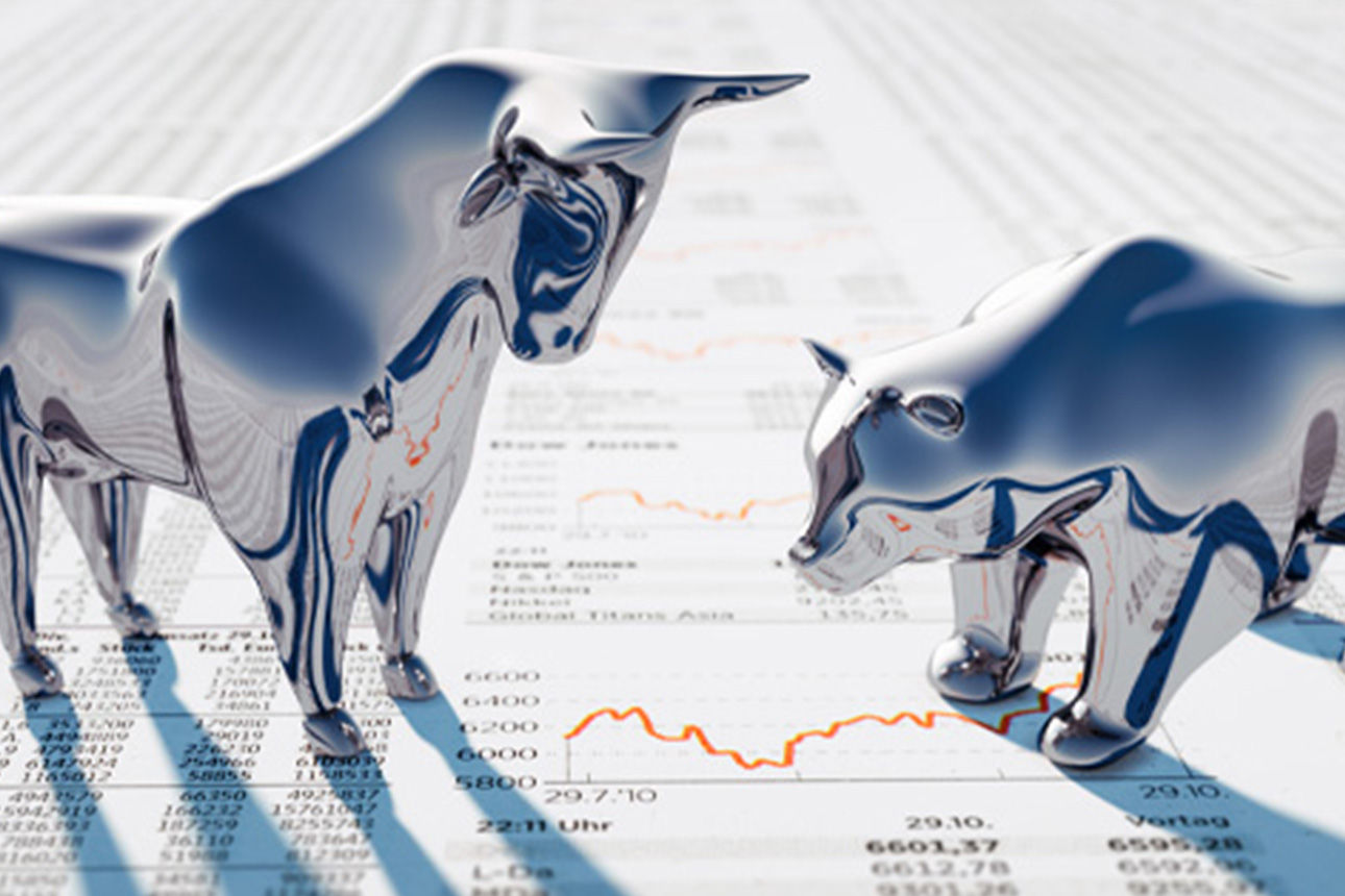 Ein Bulle und ein Bär 