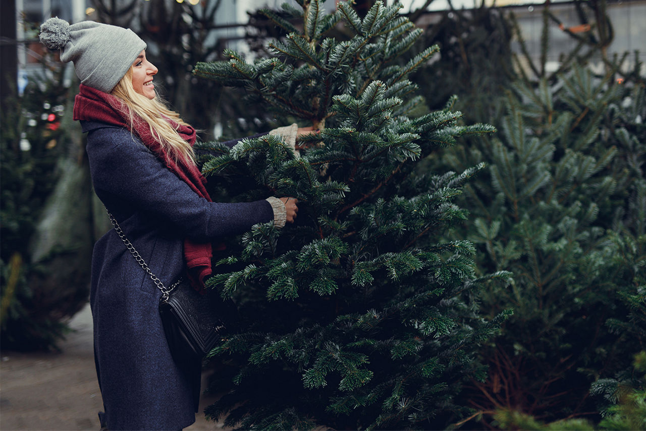 Eine junge Dame beim Christbaumkauf