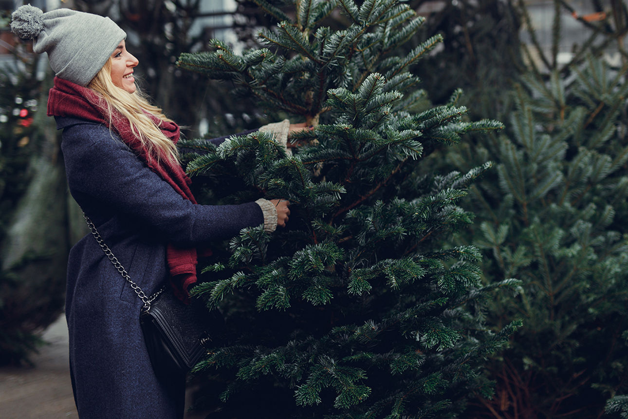 Junge Dame beim Christbaumkauf