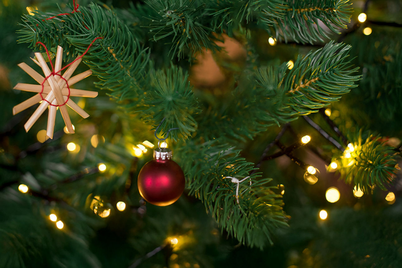 Bildausschnitt Christbaum