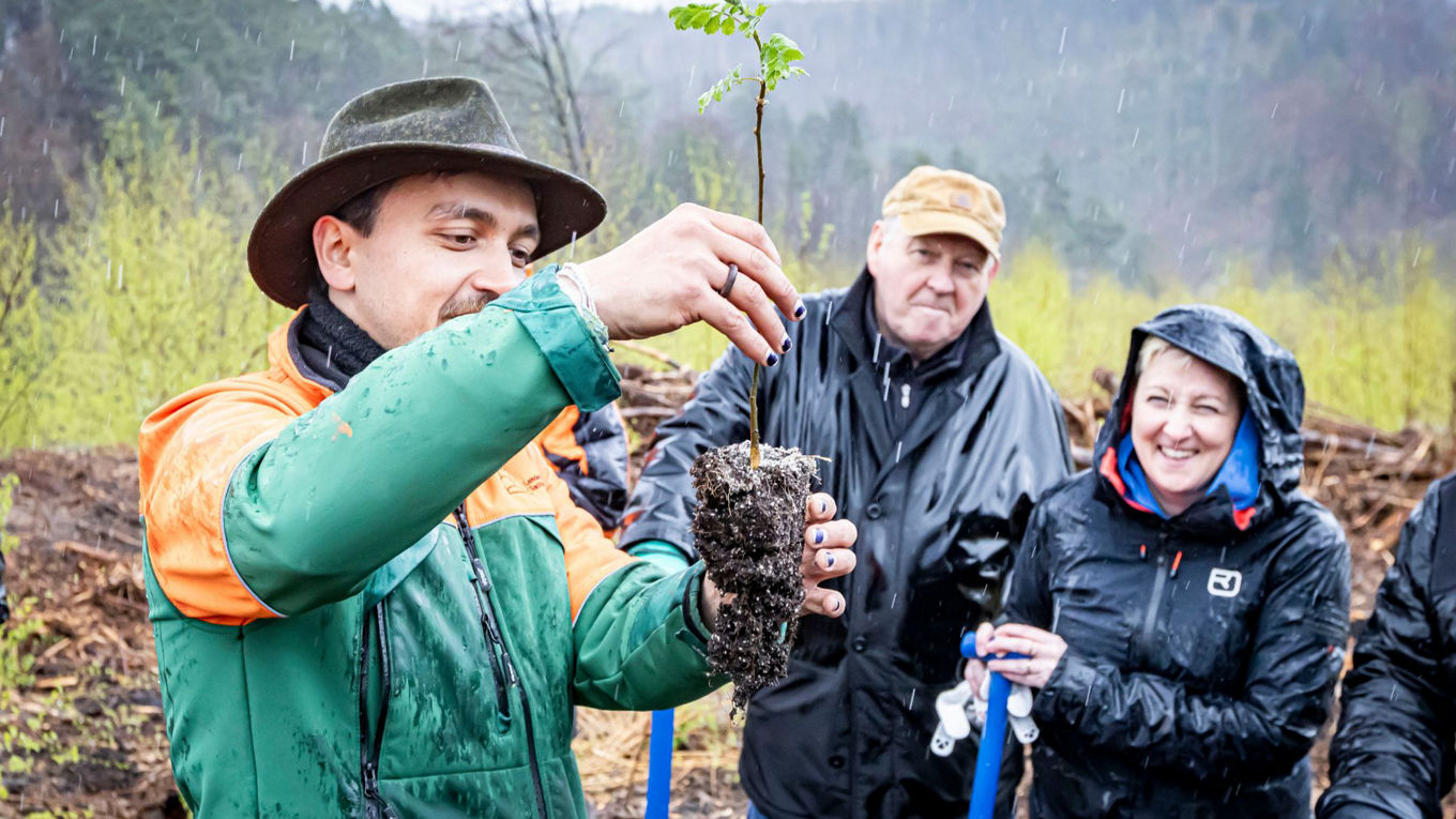 Videobeitrag 1.000 Bäume für den Beuthenfall