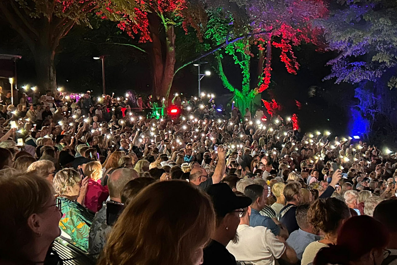 Bild vom Publikum "Sommerkultur Dinslaken" mit bunt ausgeleuchteten Bäumen
