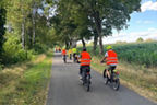 Eine Gruppe Menschen fährt mit Fahrrädern einen Feldweg lang.