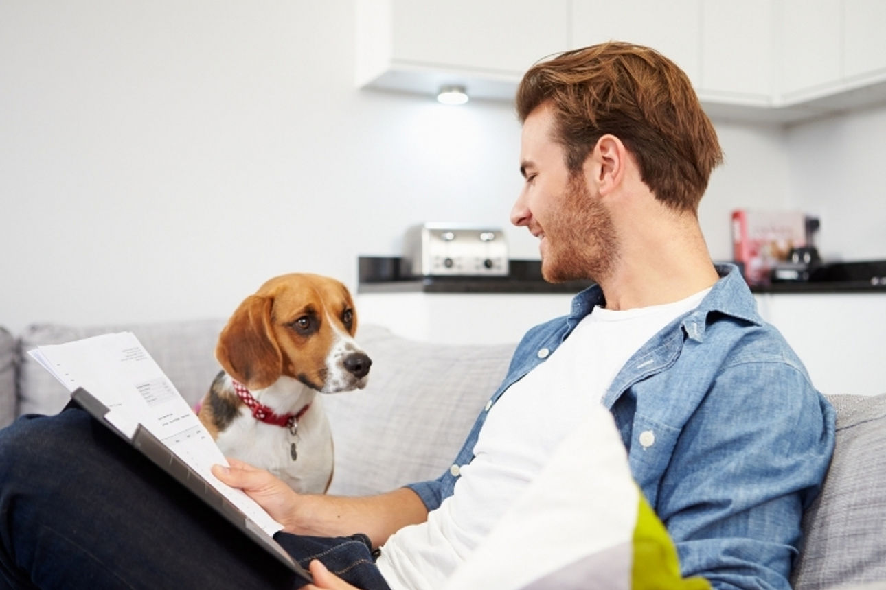 Junger Mann mit Unterlagen in der Hand sitzt mit einem Hund auf einem Sofa