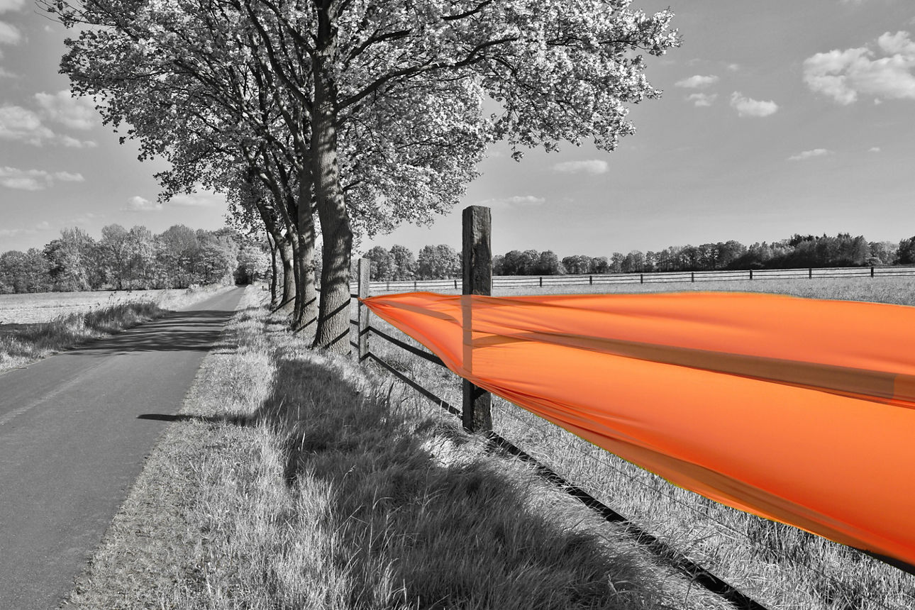 Weidezaun mir orangem Tuch