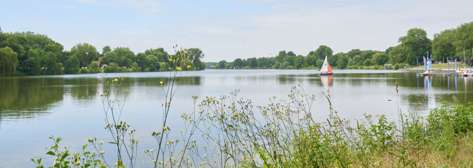 Segelboot auf ruhigem See, im Vordergrund Uferbepflanzung und im Hintergrund grüne Bäume.