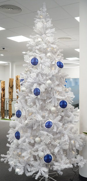 Der weiße Weihnachtsbaum der Rheingauer Volksbank ist mit blauen Kugeln geschmückt
