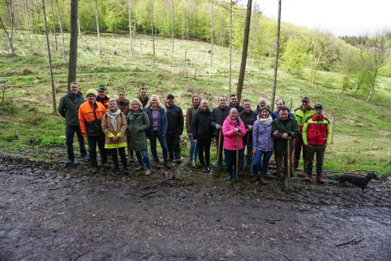Eine Menschengruppe steht im Wald.
