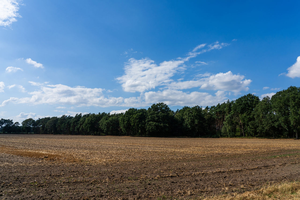 Landlaschaft
