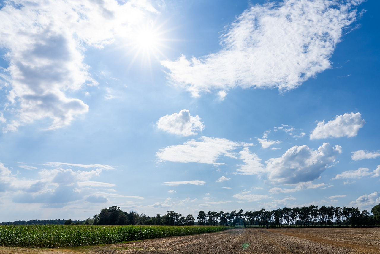 Landlaschaft