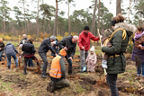 Familien pflanzen Bäume im Volksbank-Wald
