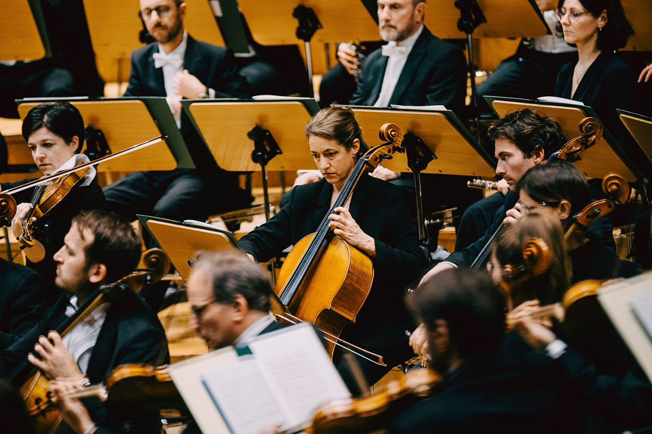 Die Bamberger Symphoniker gastieren beim VR Bank-OpenAir 2026 auf Schloss Jägersburg