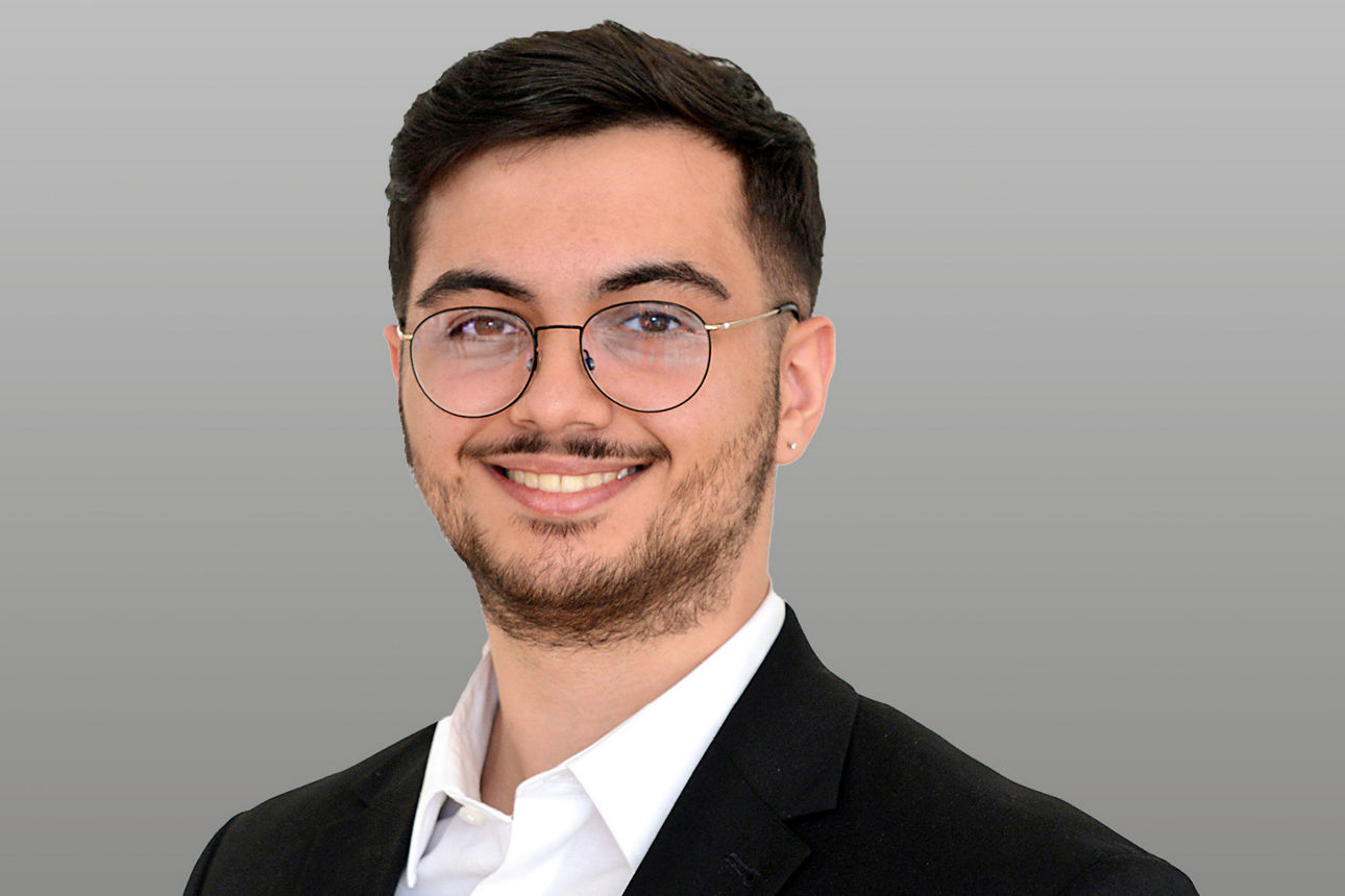 Michele Dollero, Dialogteam