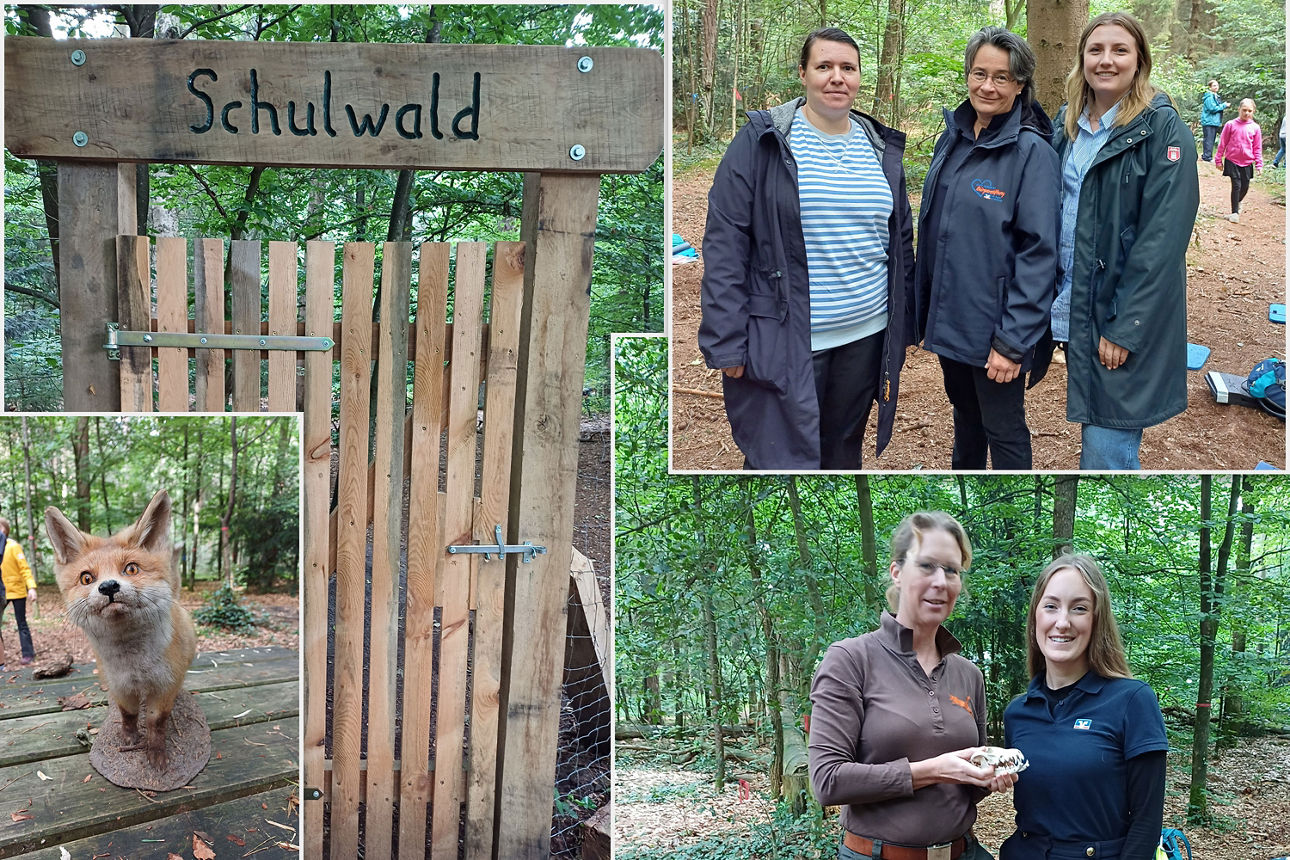 Collage: Draußenschule in der Waldschule Quickborn