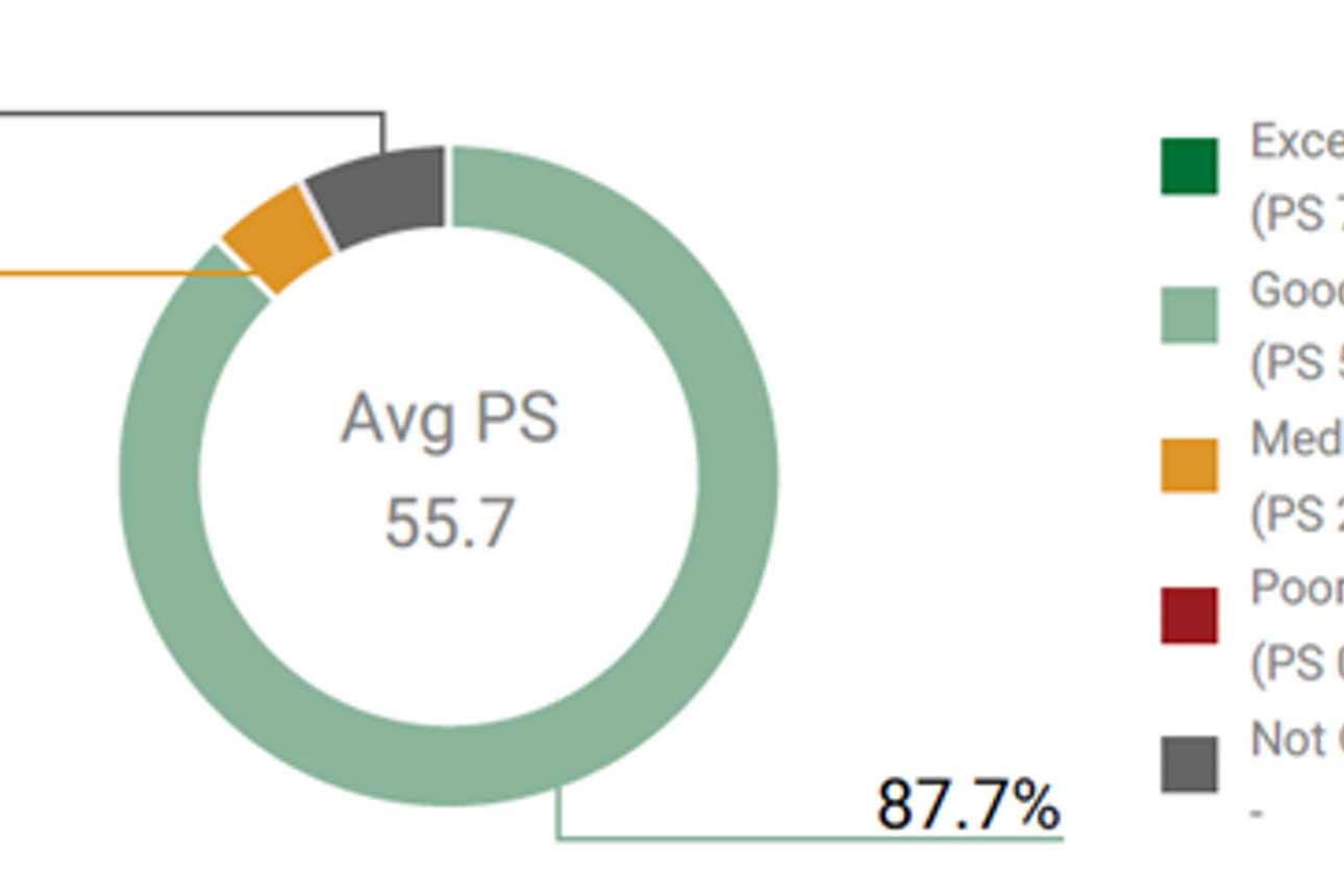 ESG Performance Score