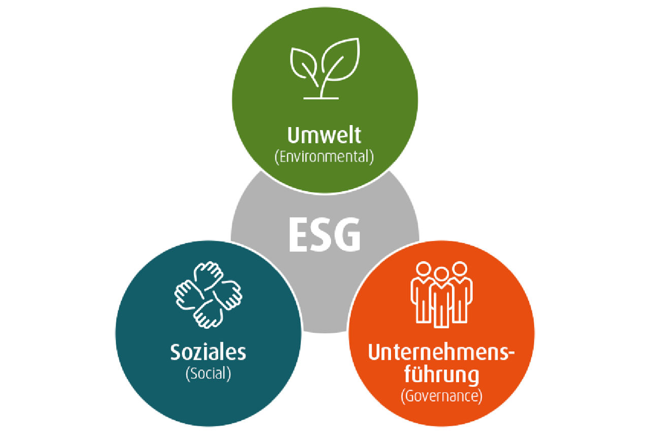 Grafik mit ESG in der Mitte und außen Kreise mit Umwelt, Soziales und Unternehmensführung