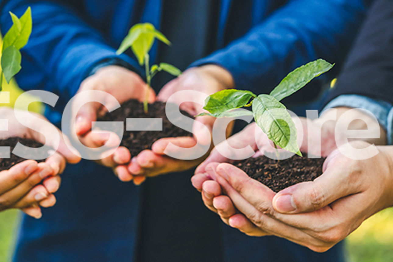 Vier Hände, die jeweils eine kleine Topfpflanze halten