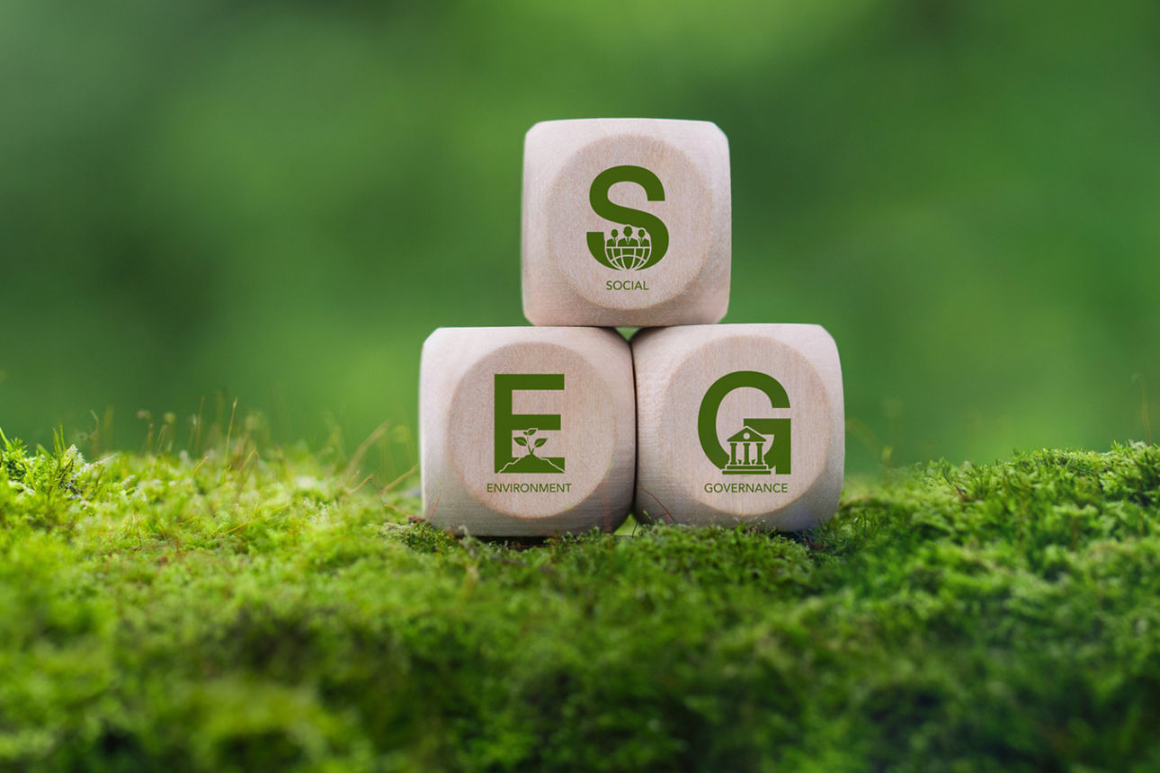 ESG concept of environmental, social and governance. is the concept of sustainable corporate development. icon symbol green o