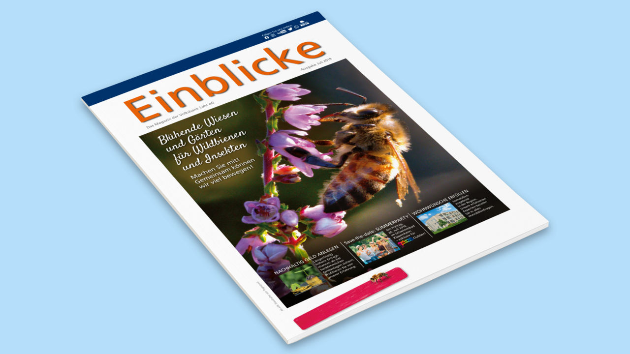 Einblicke Juli 2019