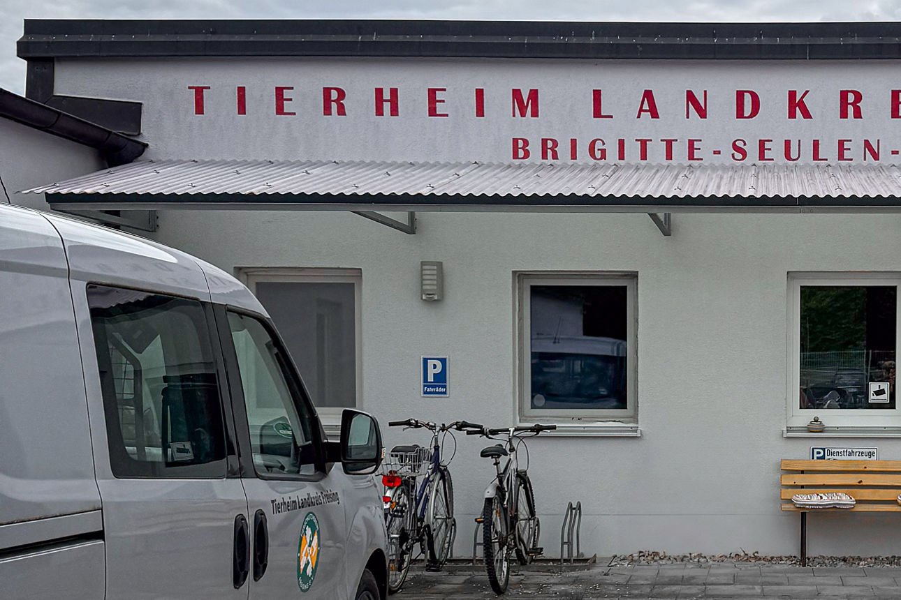 Eingang zum Hauptgebäude des Freisinger Tierheims