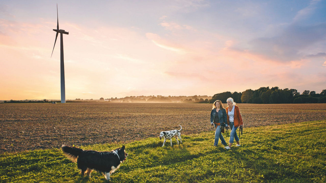 Zwei Frauen gehen mit zwei Hunden spazieren
