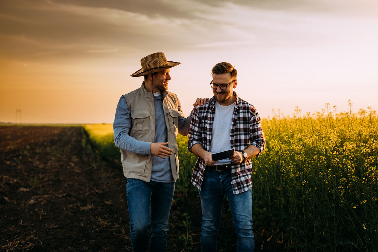 Unternehmer besprechen eine neue Geschäftsidee auf einem Feld