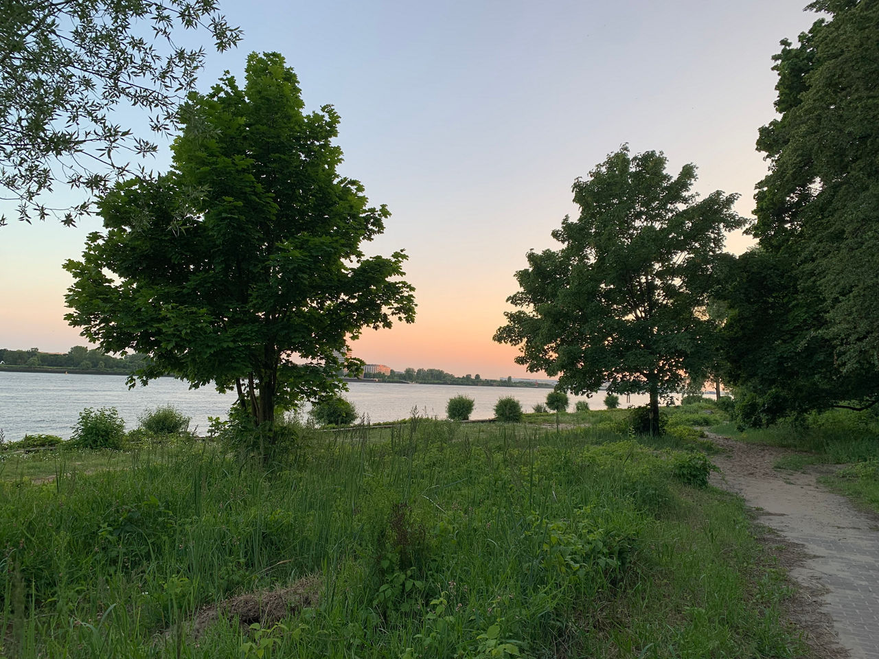 Ufer mit Bäumen und Weg an der Elbe