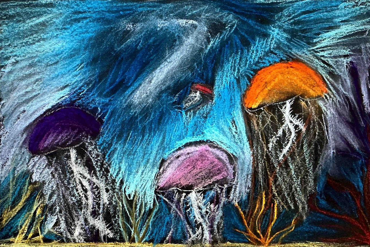 Auf einer Zeichnung schwimmen bunte Quallen in einem schwarz-blauen Meer