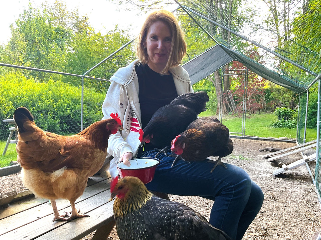 Frau mit 4 Maran-Hühner im Garten