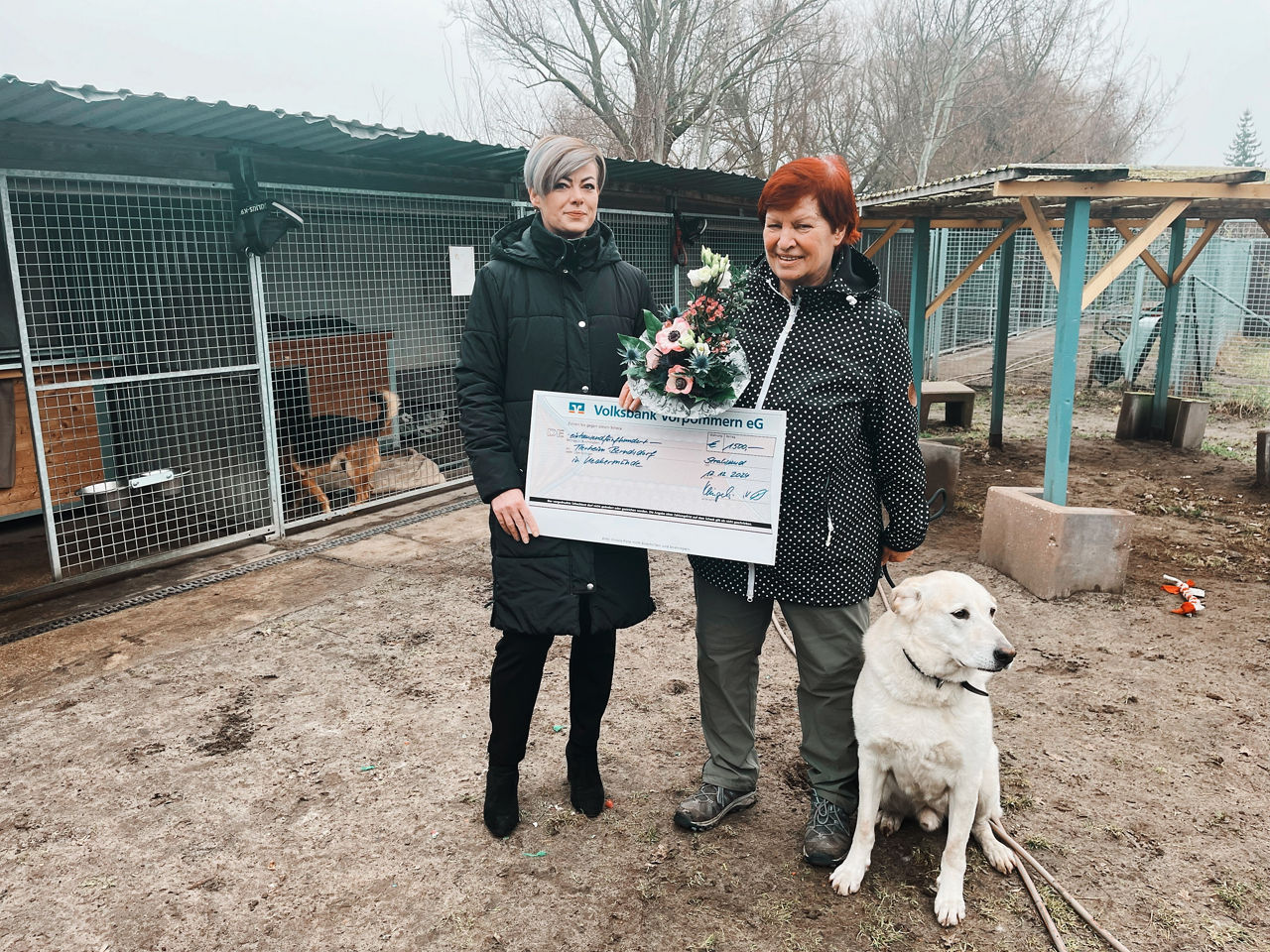 Spendenübergabe Tierheim