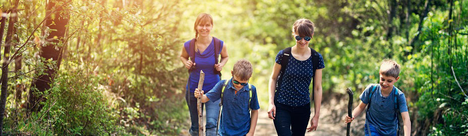 Mother and three kids hiking on forest trail. Happy family is walking on dirt road in forest. Nikon D850