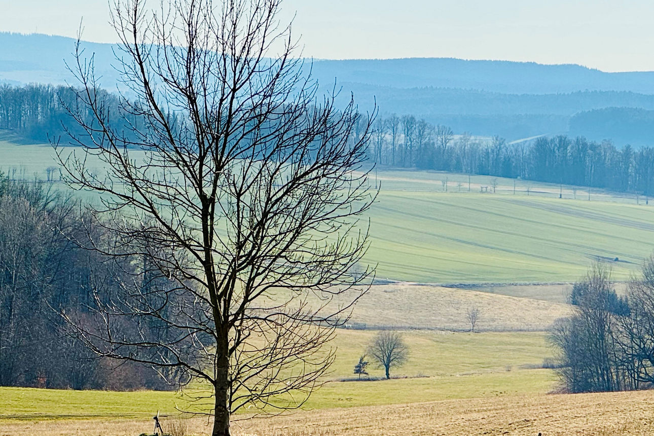 Erwachende Frühlingslandschaft mit Felder und Wiesen um Kirchberg, Landkreis Zwickau