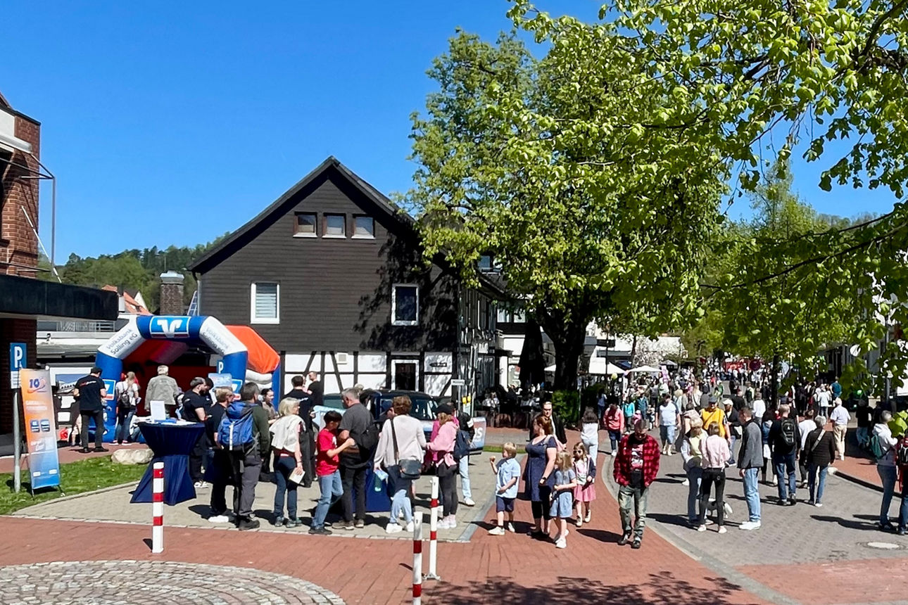 Ein Bild vom Eselsmarkt bei schönem Wetter.