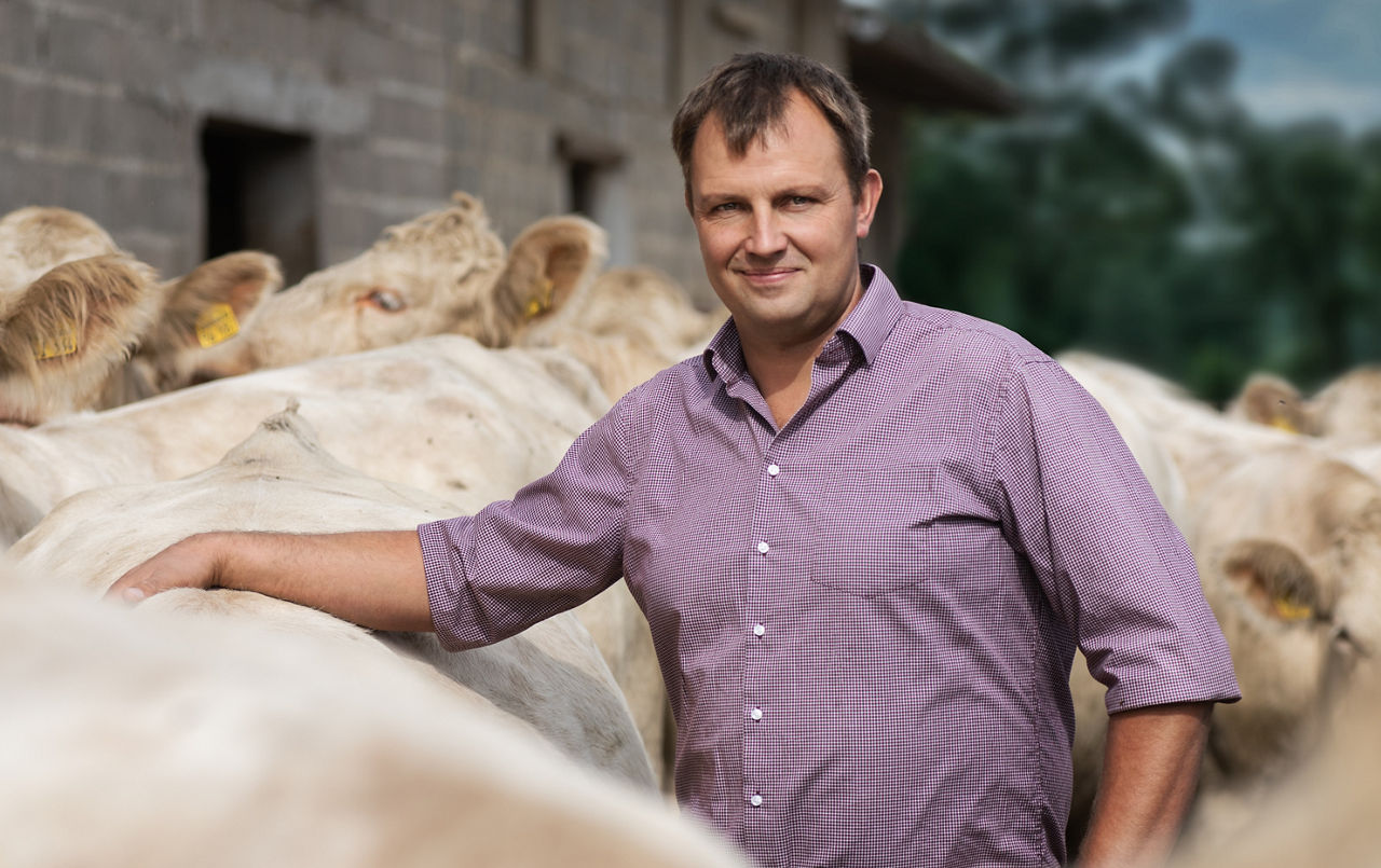 Bild von Dirk Fülling umringt von Rindern